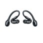 Shure HeadphonesHeadset True